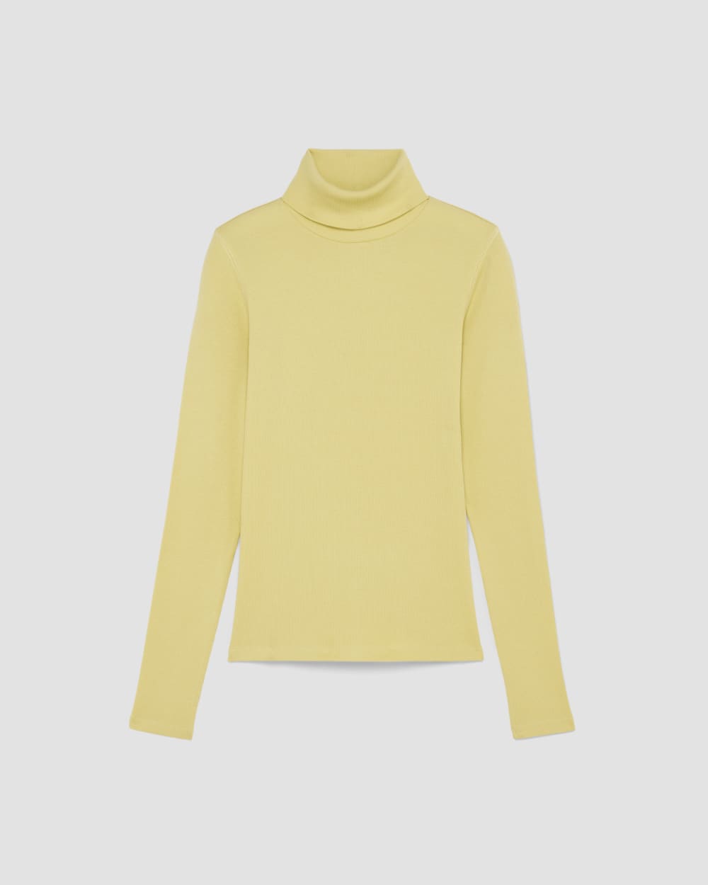 Alternative view of The Luxe Rib Turtleneck | Raffia